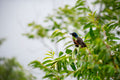 Embracing Eco-Friendly Practices with Vinyl Egress Windows